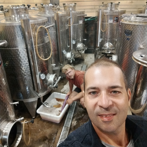 Bar à vin, Apéro